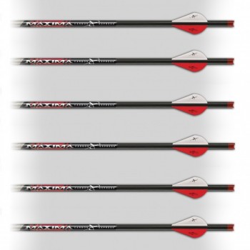 Нет изображения