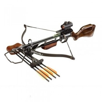 Нет изображения