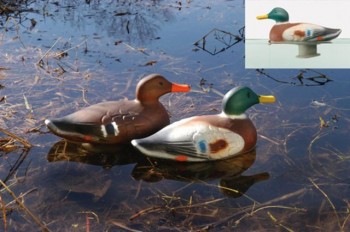 Нет изображения