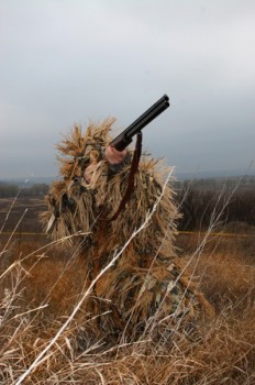 Нет изображения