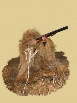 Нет изображения